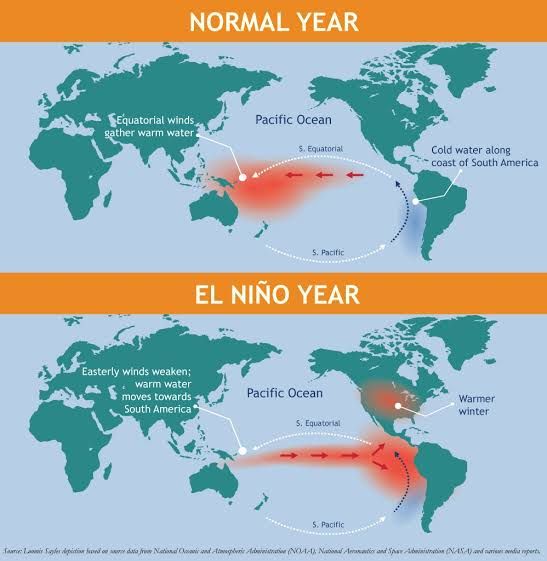 Illustration for the article “The threat of El Niño: an upcoming food shortage”