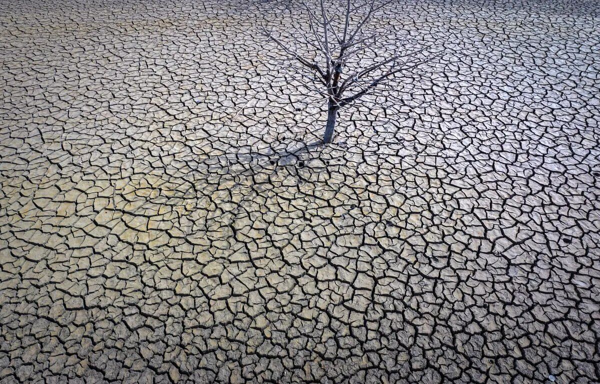 Illustration for the article “The threat of El Niño: an upcoming food shortage”