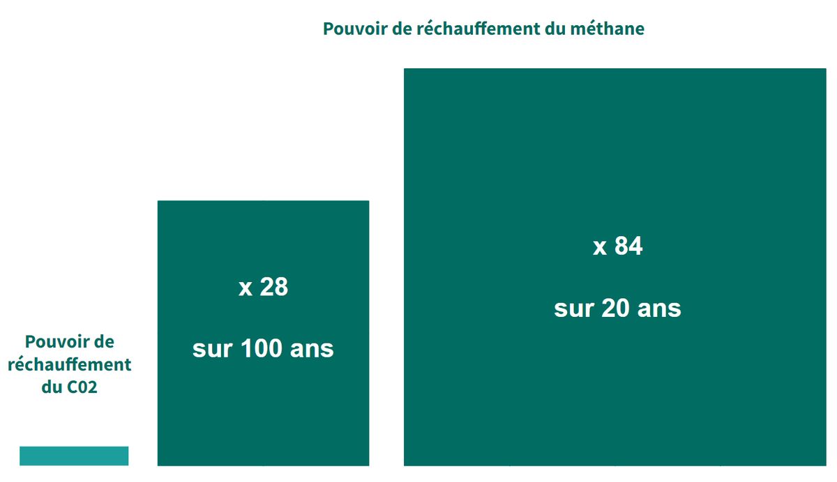 Illustration de l'article « Il est temps de parler sérieusement du méthane »